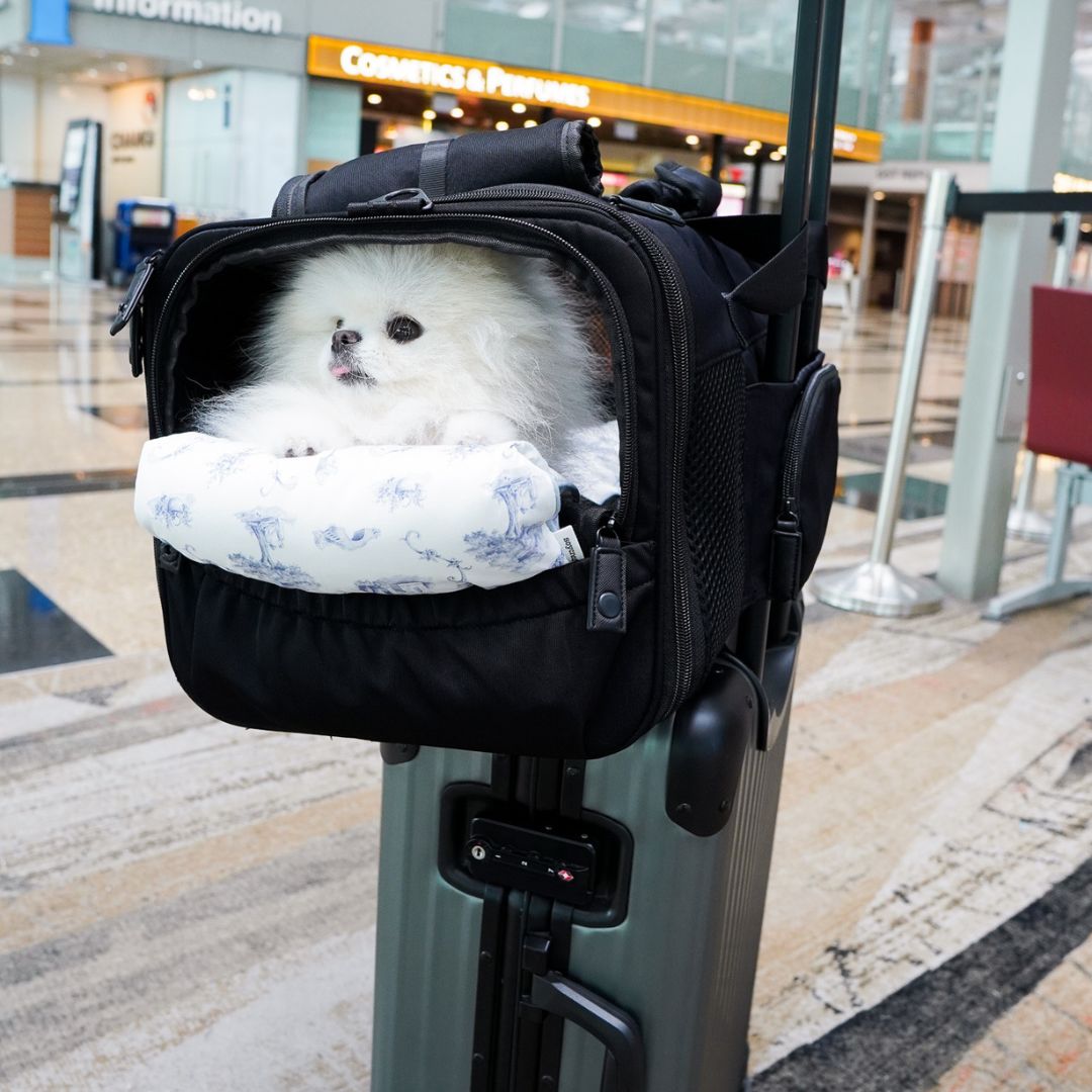 Pet Porter Carrier (Airline Compliant)