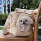 soycraft luxe premium pet carrier dog cat backpack bag
