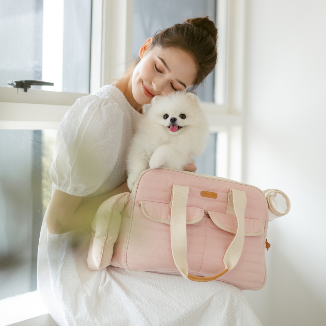 soycraft luxe pet carrier pet bag backpack